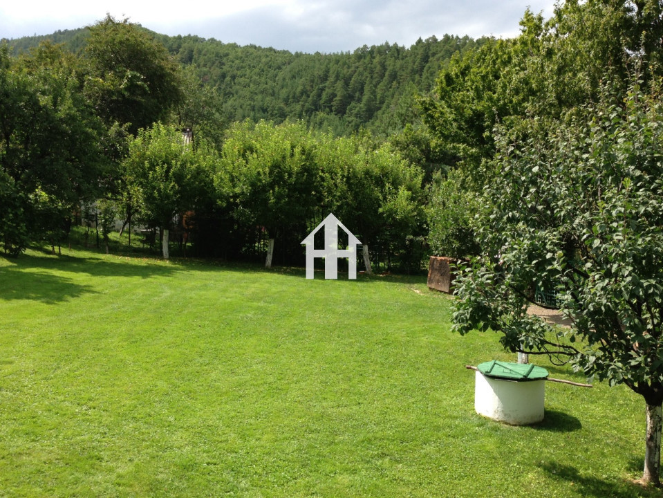 Cabana de vacanta | Tocile | 860 m² de natura, aproape de Sibiu!