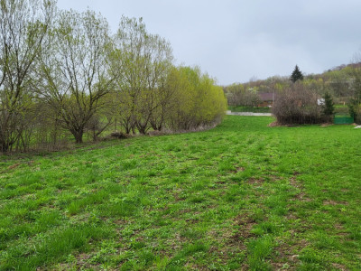Teren intravilan 1800 mp - vedere la munte si padure – Sebesu de Sus