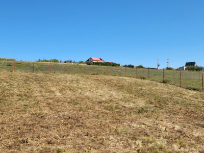 Teren de vanzare – Sura Mare | 600 mp 