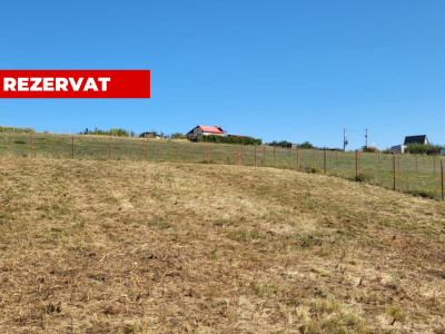 Teren de vanzare – Sura Mare | 600 mp 