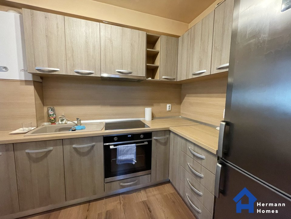 Apartament 2 camere de inchiriat – curte privata -  etaj 1 - Terezian