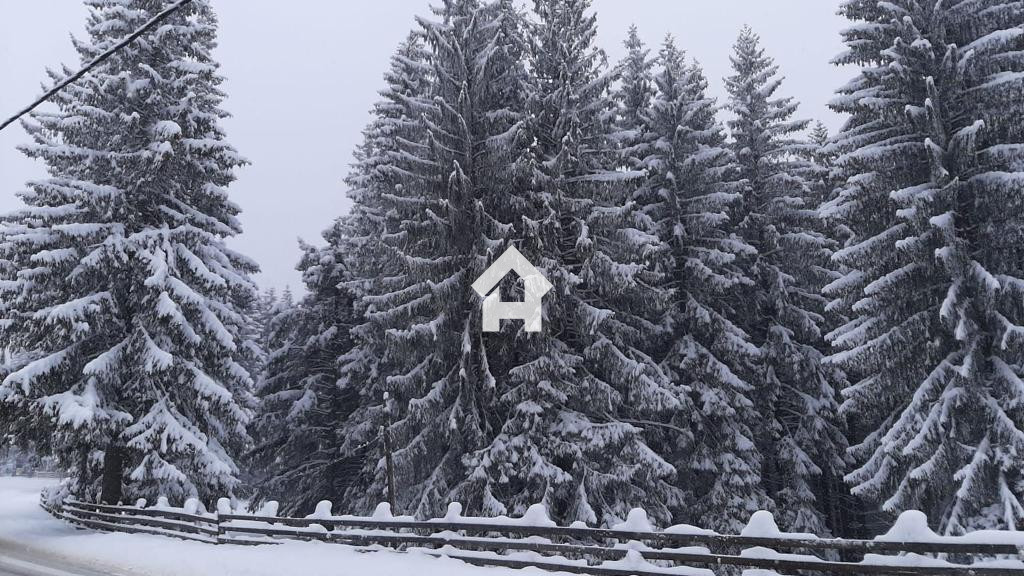 Vila complet utilata de vanzare – Paltinis, Sibiu