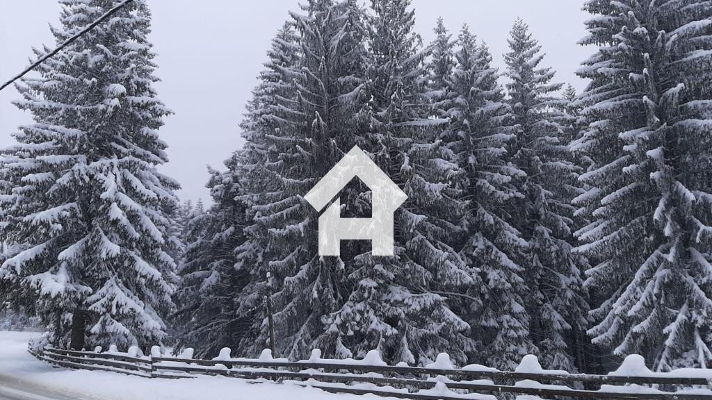 Vila complet utilata de vanzare – Paltinis, Sibiu