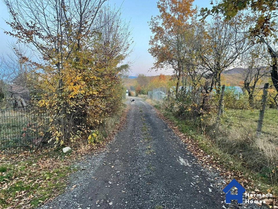 Teren intravilan de vanzare – Tropinii Noi - 1036 mp