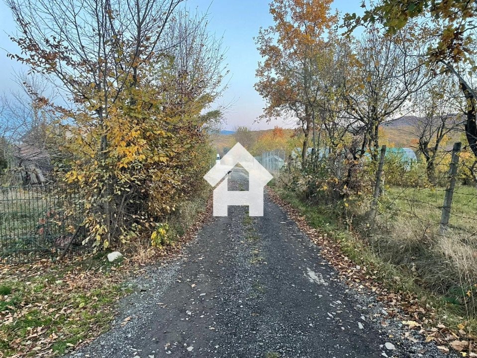 Teren intravilan de vanzare – Tropinii Noi - 1036 mp