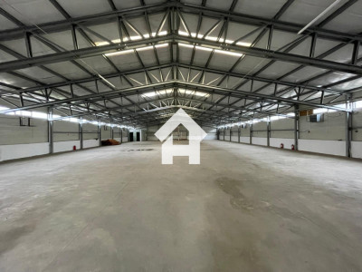 Hala industriala 1.000 mp + curte 2.400 mp | Acces TIR | Talmaciu